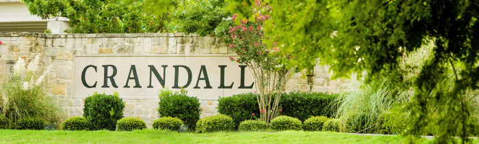 Director of Development Services